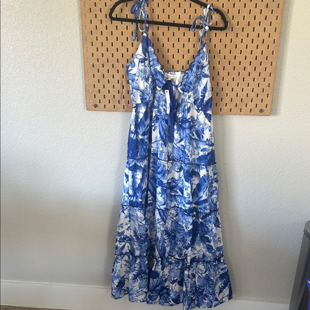 Francesca's Collections Blue and White Maxi Dress